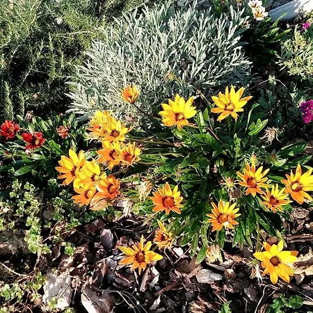 Casale Dei 3 Galli *