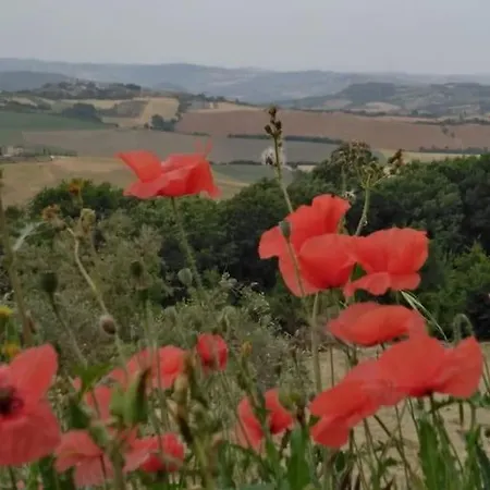 Casale Dei 3 Galli ヴィラ Configni