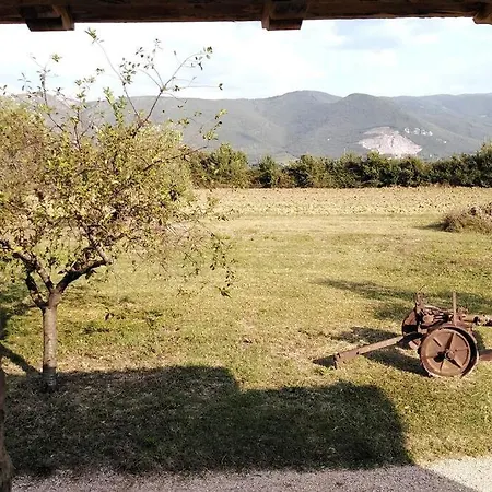 Casale Dei 3 Galli *