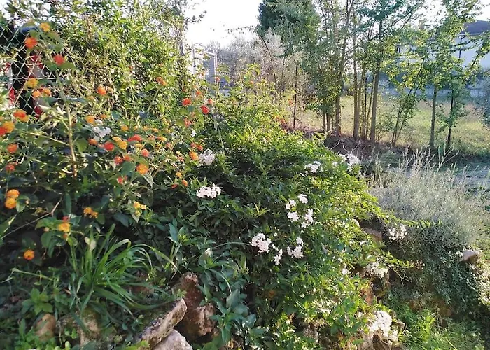 Casale Dei 3 Galli *