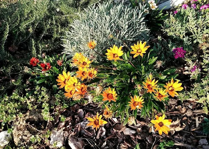 Casale Dei 3 Galli *