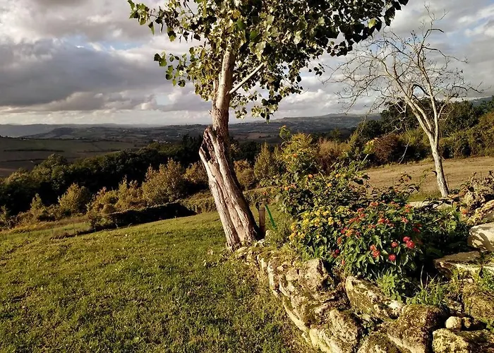 Casale Dei 3 Galli *