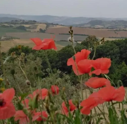 Casale Dei 3 Galli ヴィラ Configni